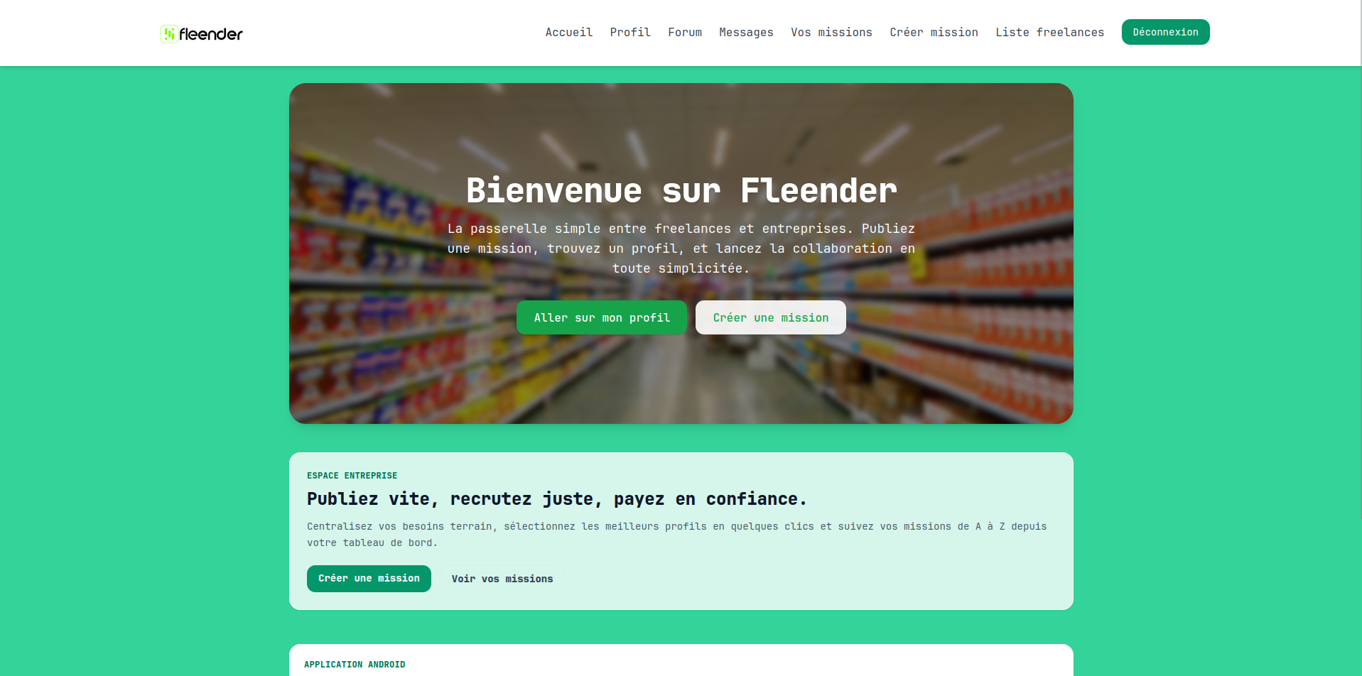 Aperçu du projet Fleender